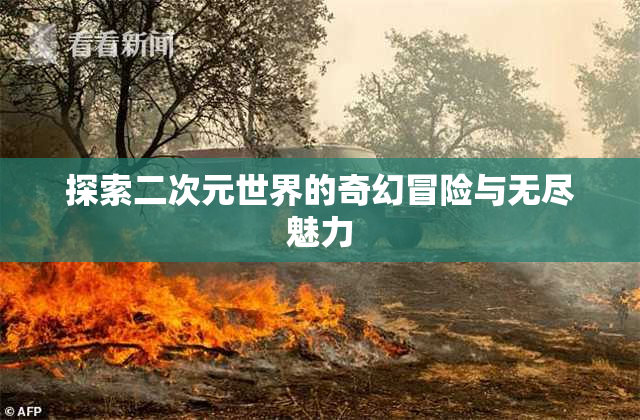 探索二次元世界的奇幻冒险与无尽魅力