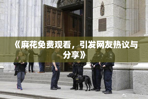 《麻花免费观看，引发网友热议与分享》