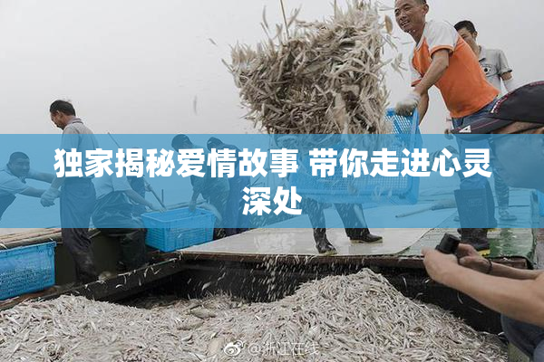 独家揭秘爱情故事 带你走进心灵深处