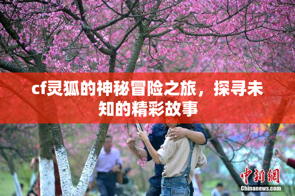 cf灵狐的神秘冒险之旅，探寻未知的精彩故事