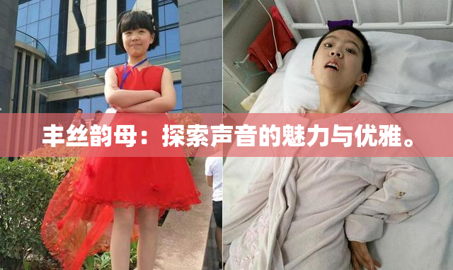 丰丝韵母：探索声音的魅力与优雅。