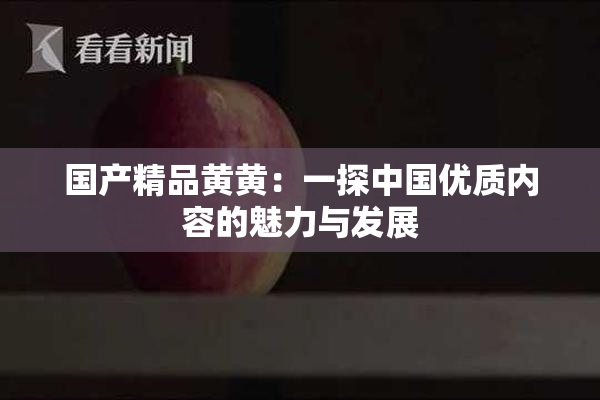 国产精品黄黄：一探中国优质内容的魅力与发展