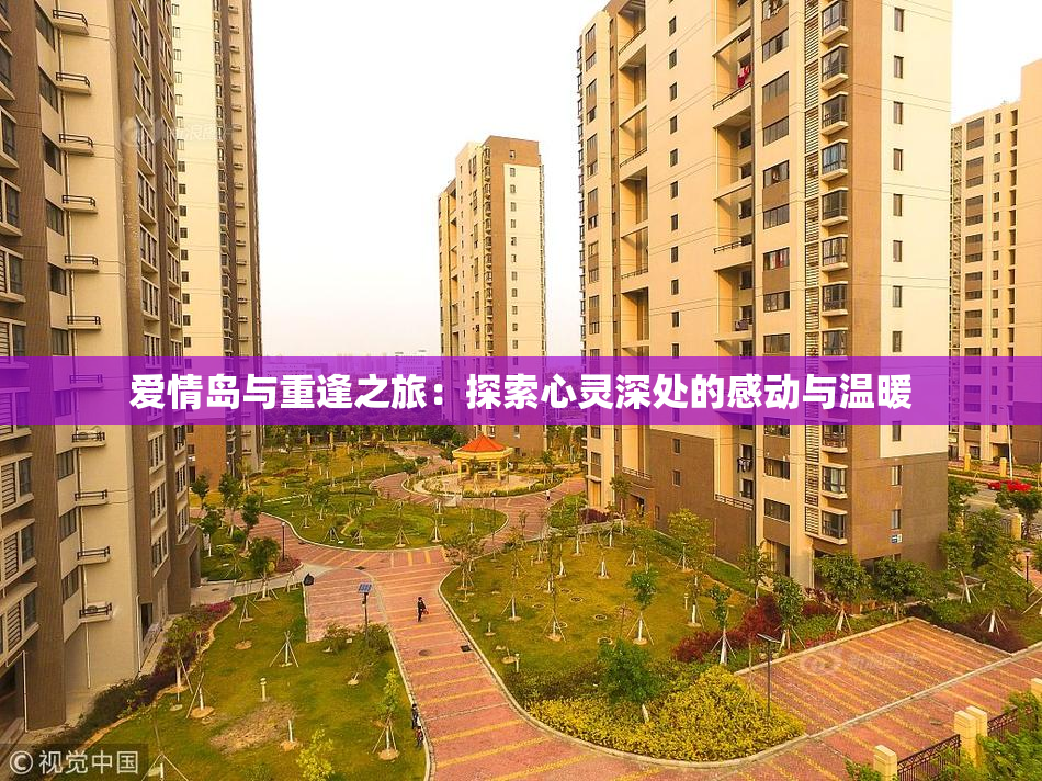 爱情岛与重逢之旅：探索心灵深处的感动与温暖