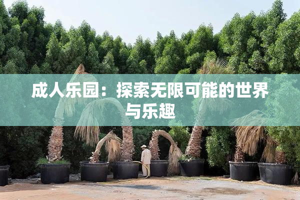 成人乐园：探索无限可能的世界与乐趣