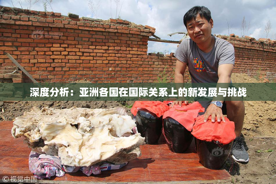 深度分析：亚洲各国在国际关系上的新发展与挑战