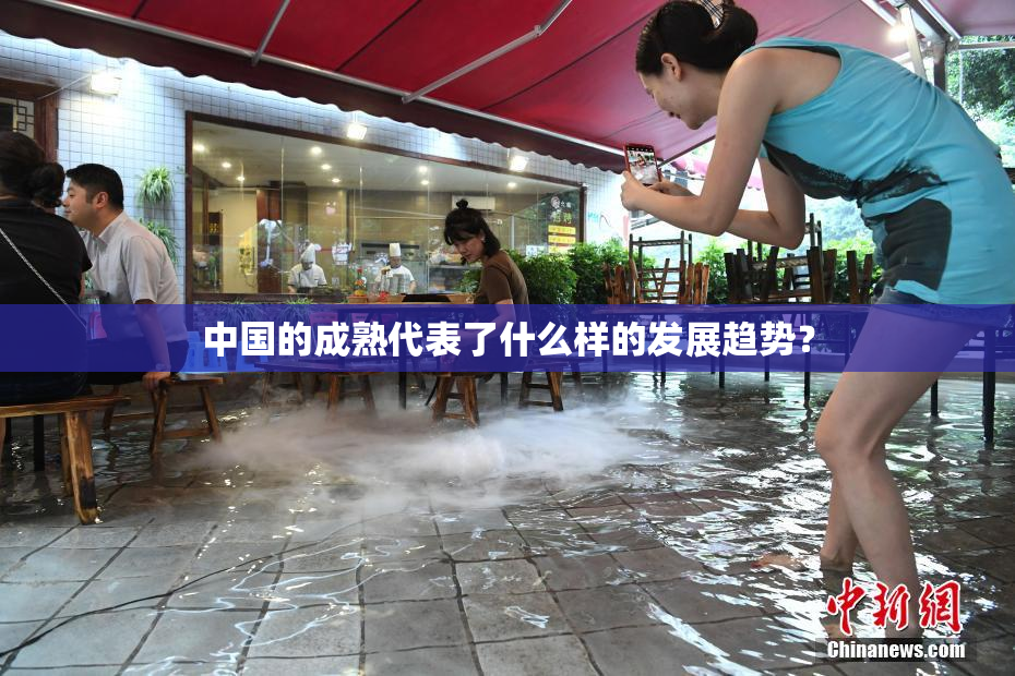 中国的成熟代表了什么样的发展趋势？