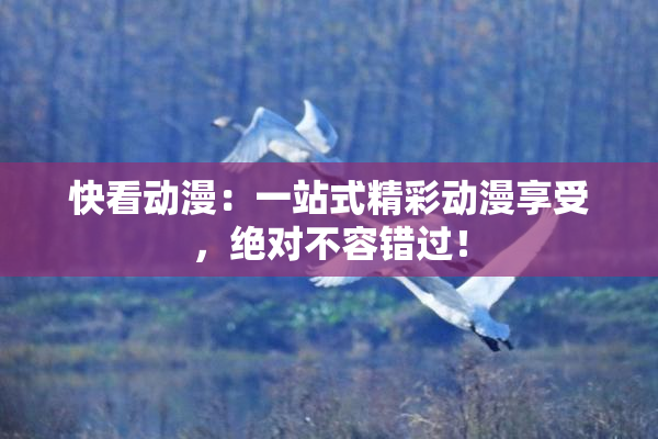 快看动漫：一站式精彩动漫享受，绝对不容错过！
