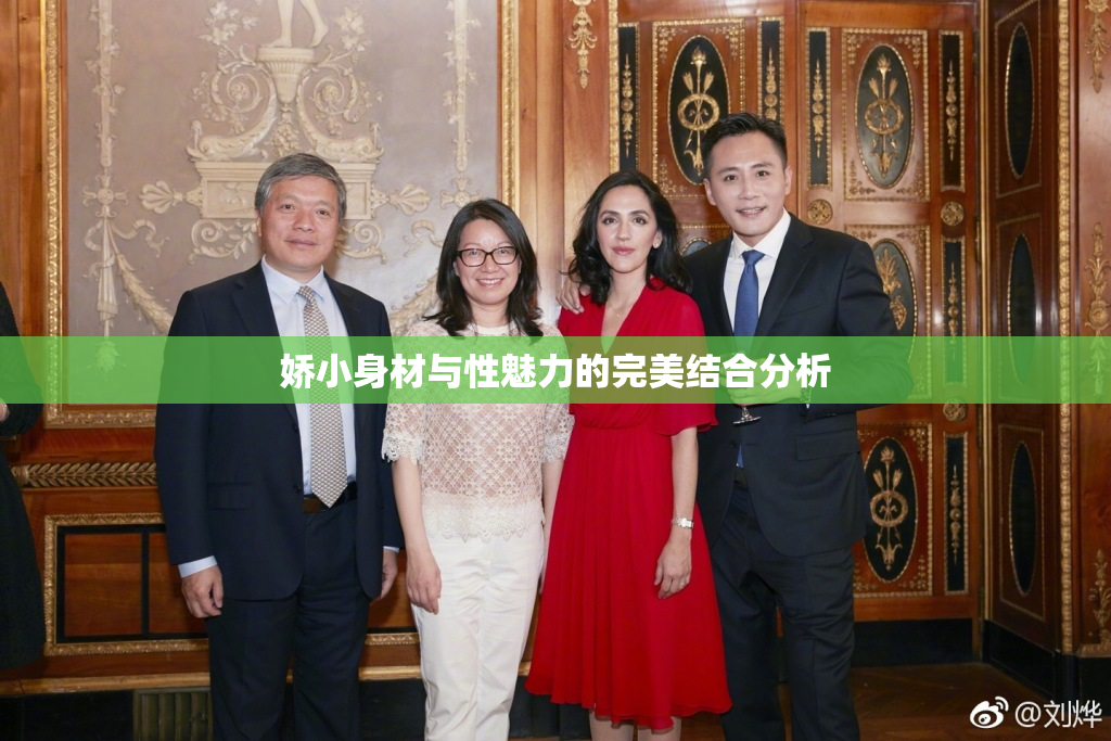 娇小身材与性魅力的完美结合分析