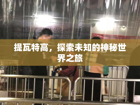 提瓦特高，探索未知的神秘世界之旅
