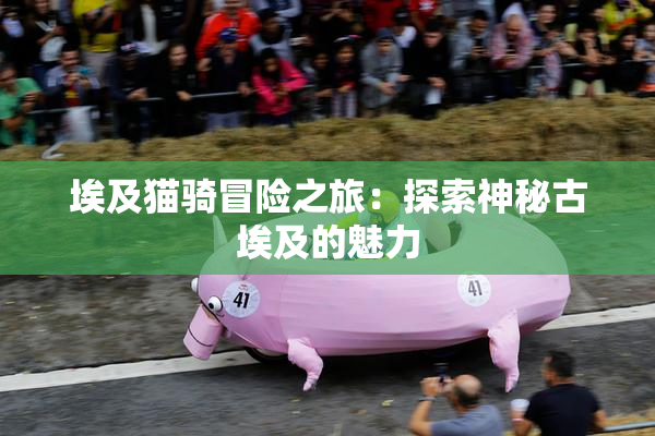 埃及猫骑冒险之旅：探索神秘古埃及的魅力