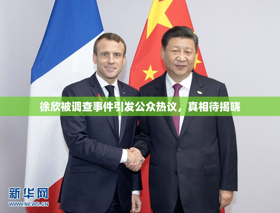 徐欣被调查事件引发公众热议，真相待揭晓