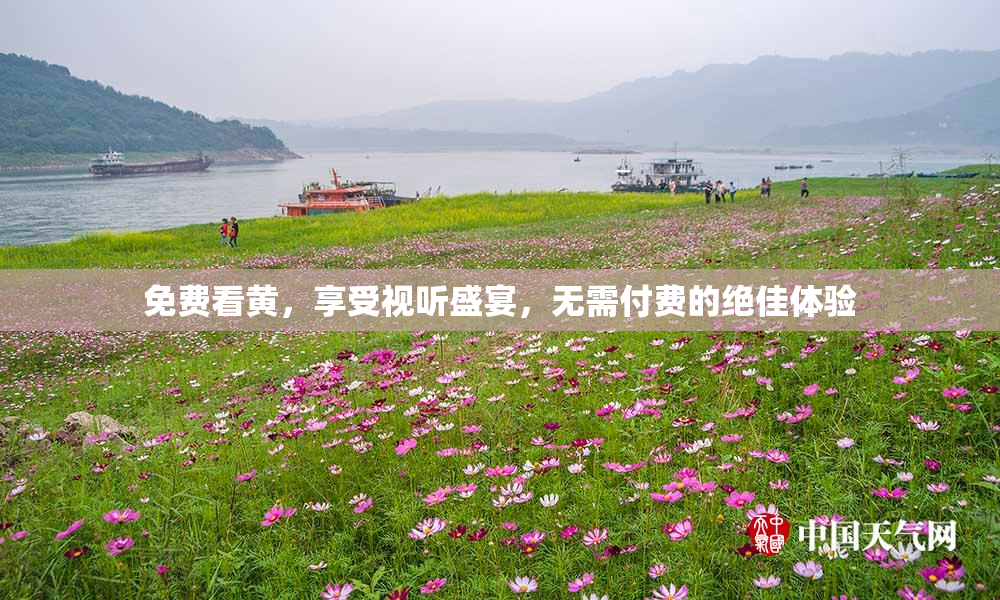 免费看黄，享受视听盛宴，无需付费的绝佳体验
