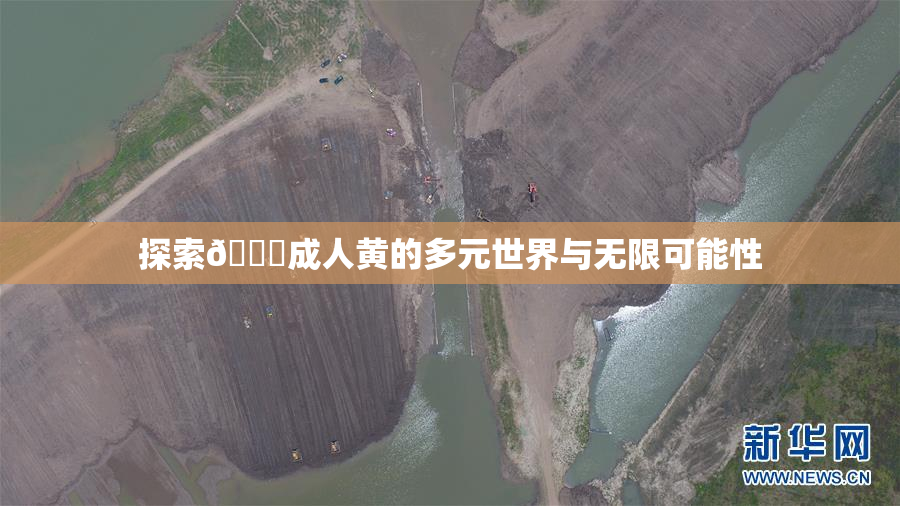 探索🔞成人黄的多元世界与无限可能性
