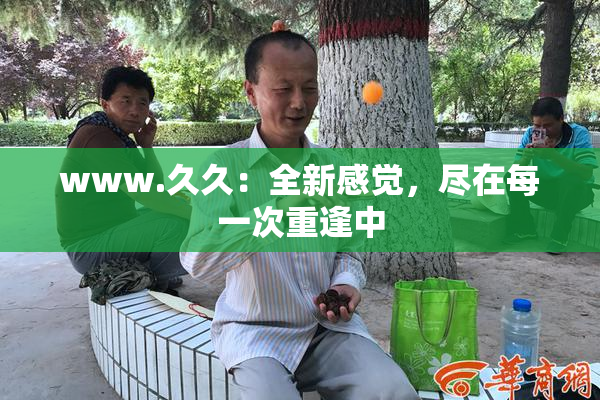 www.久久：全新感觉，尽在每一次重逢中