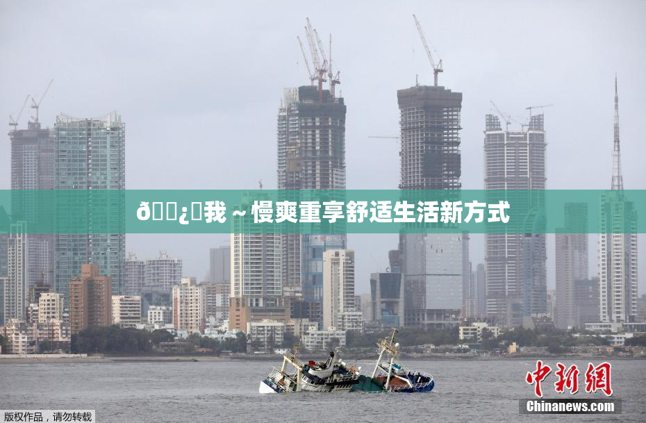 🌿‌我～慢爽重享舒适生活新方式