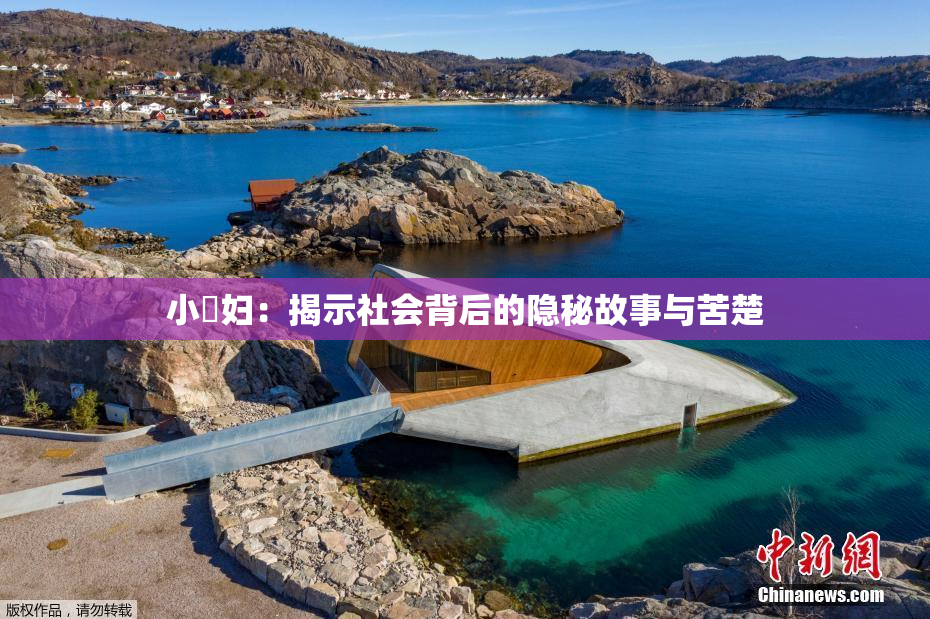 小婬妇：揭示社会背后的隐秘故事与苦楚