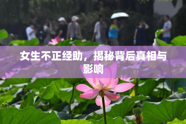 女生不正经助，揭秘背后真相与影响