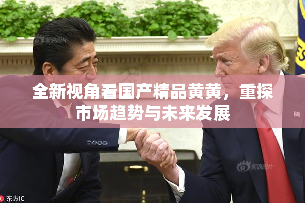 全新视角看国产精品黄黄，重探市场趋势与未来发展