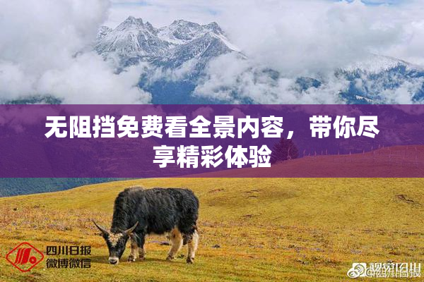 无阻挡免费看全景内容，带你尽享精彩体验