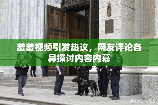 羞羞视频引发热议，网友评论各异探讨内容内幕