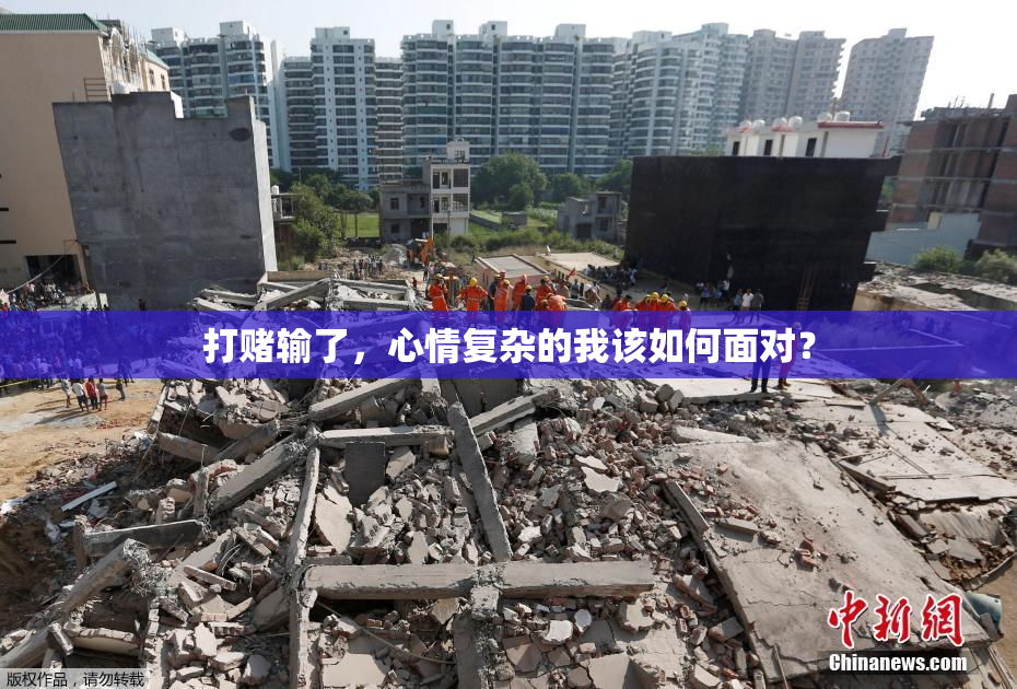 打赌输了，心情复杂的我该如何面对？