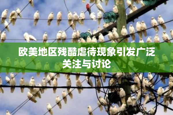 欧美地区残酷虐待现象引发广泛关注与讨论