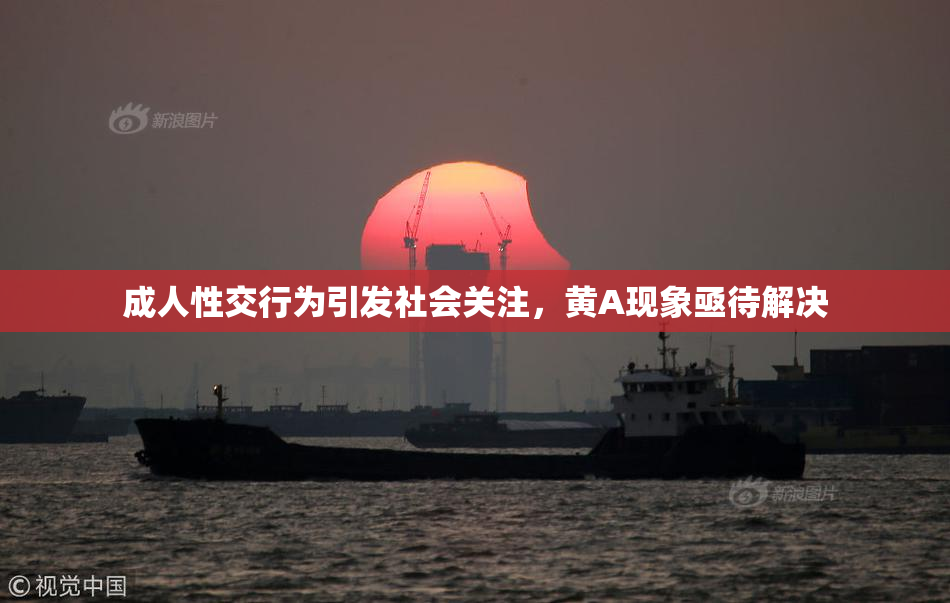 成人性交行为引发社会关注，黄A现象亟待解决