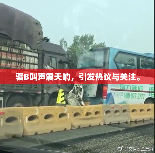 骚B叫声震天响，引发热议与关注。