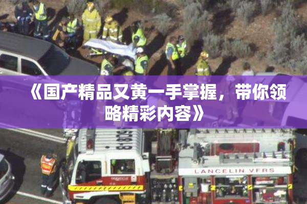 《国产精品又黄一手掌握，带你领略精彩内容》