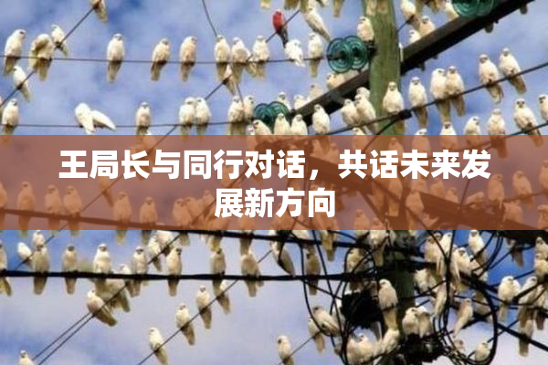 王局长与同行对话，共话未来发展新方向