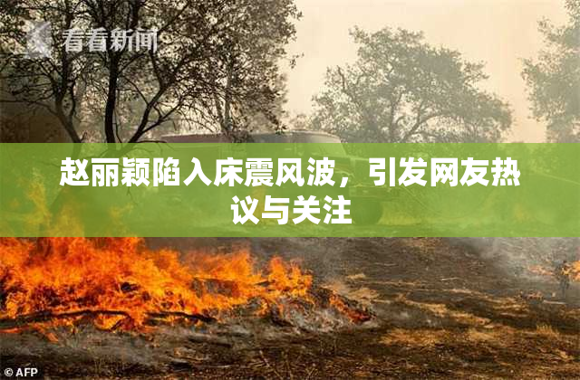 赵丽颖陷入床震风波，引发网友热议与关注