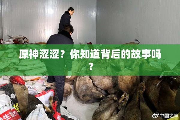 原神涩涩？你知道背后的故事吗？