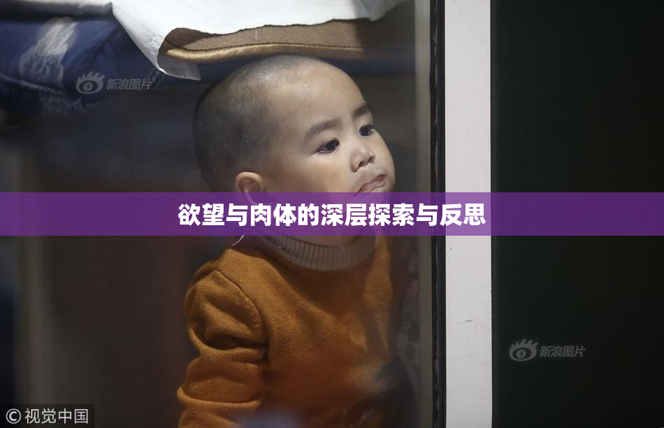 欲望与肉体的深层探索与反思