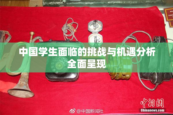 中国学生面临的挑战与机遇分析全面呈现