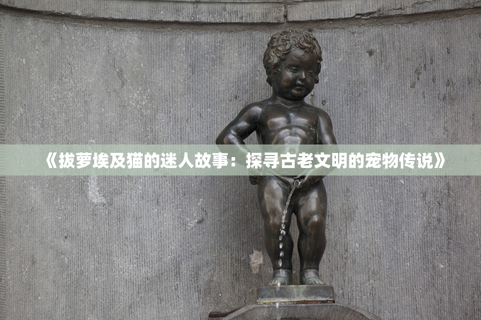 《拔萝埃及猫的迷人故事：探寻古老文明的宠物传说》