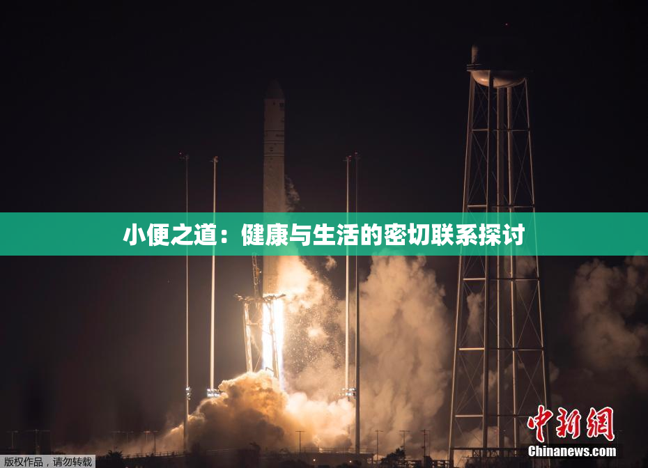 小便之道：健康与生活的密切联系探讨