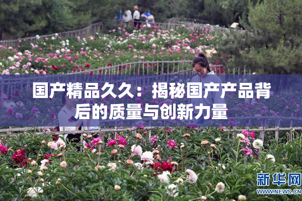 国产精品久久：揭秘国产产品背后的质量与创新力量