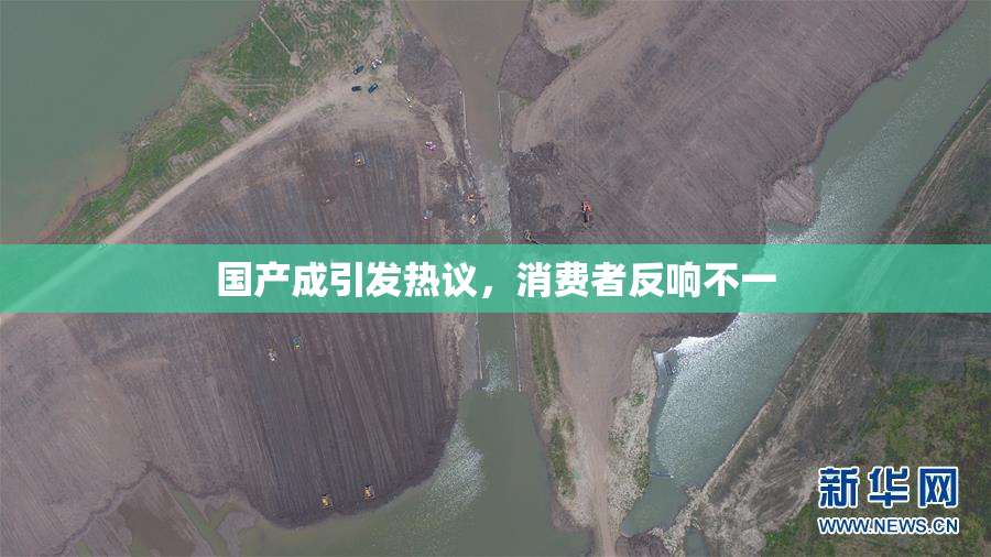 国产成引发热议，消费者反响不一