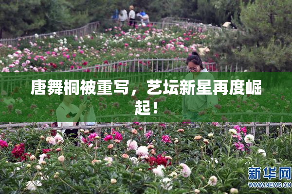 唐舞桐被重写，艺坛新星再度崛起！