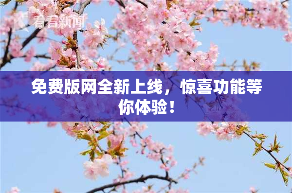 免费版网全新上线，惊喜功能等你体验！