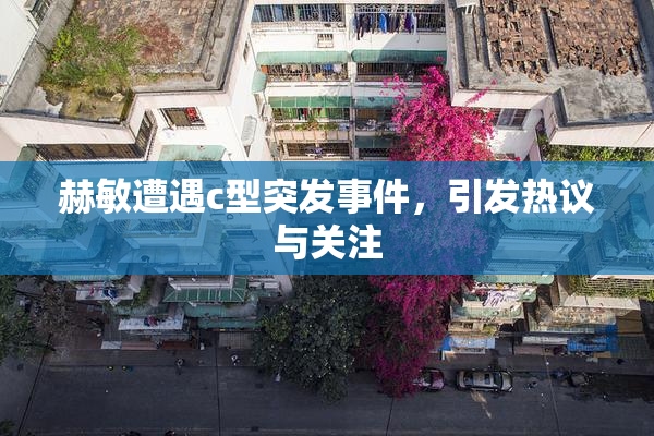 赫敏遭遇c型突发事件，引发热议与关注