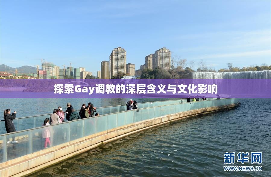 探索Gay调教的深层含义与文化影响