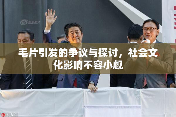 毛片引发的争议与探讨，社会文化影响不容小觑