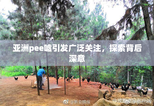亚洲pee嘘引发广泛关注，探索背后深意