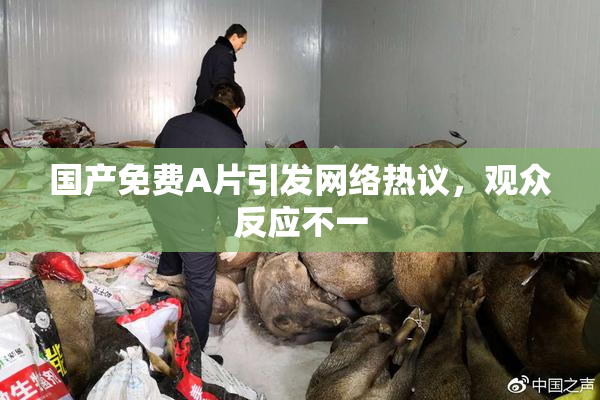 国产免费A片引发网络热议，观众反应不一