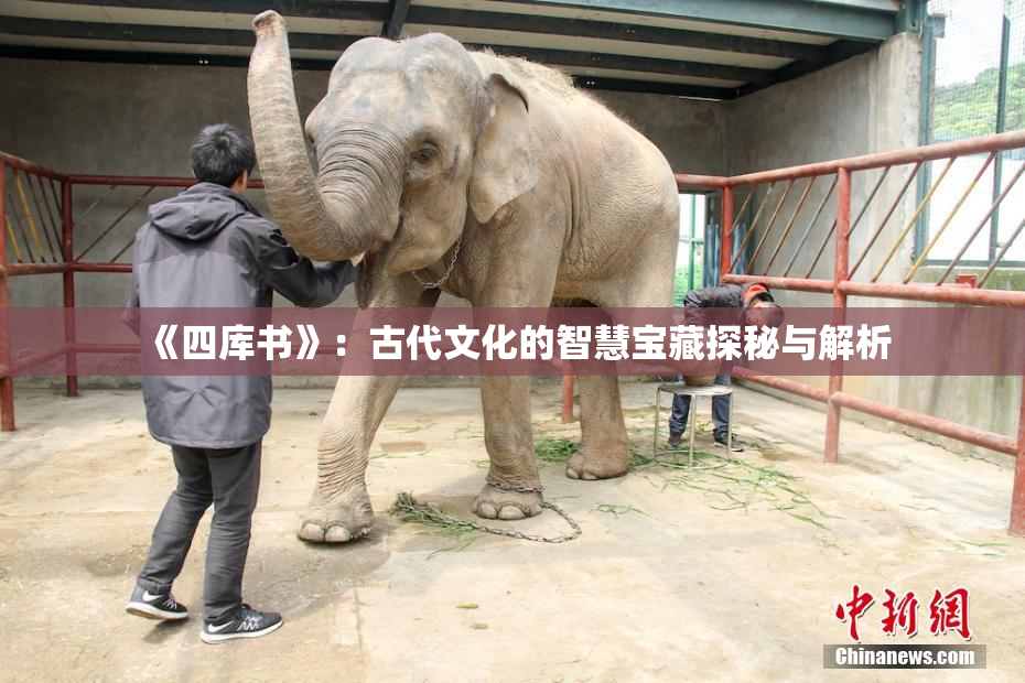 《四库书》：古代文化的智慧宝藏探秘与解析