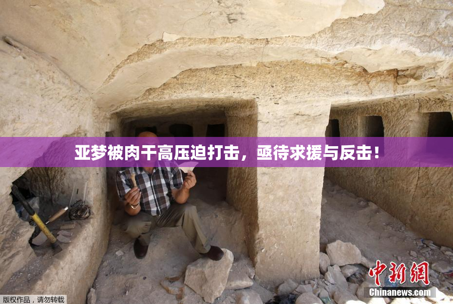 亚梦被肉干高压迫打击，亟待求援与反击！