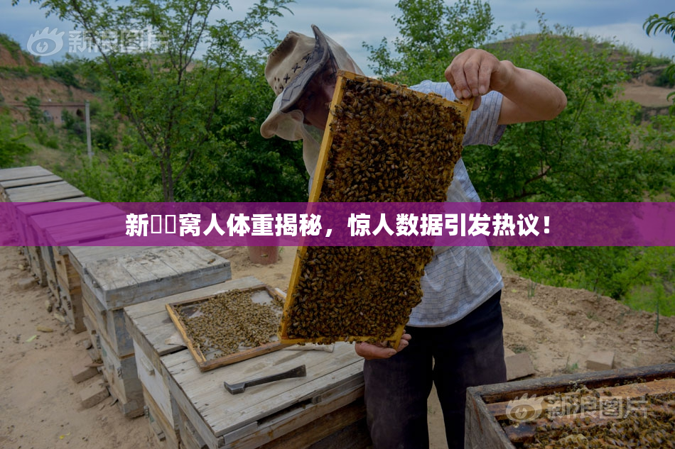 新妺妺窝人体重揭秘，惊人数据引发热议！