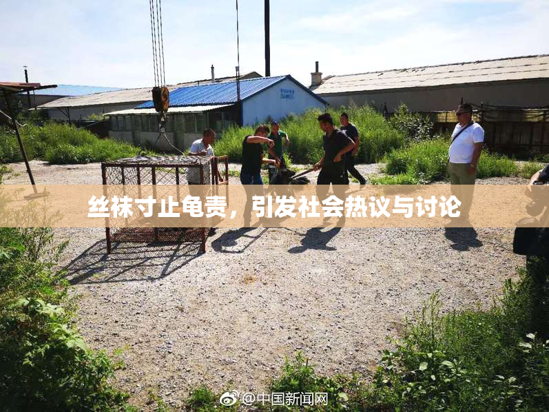 丝袜寸止龟责，引发社会热议与讨论