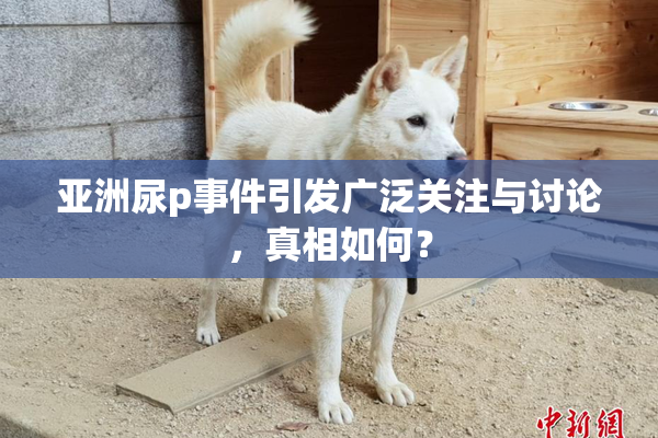 亚洲尿p事件引发广泛关注与讨论，真相如何？